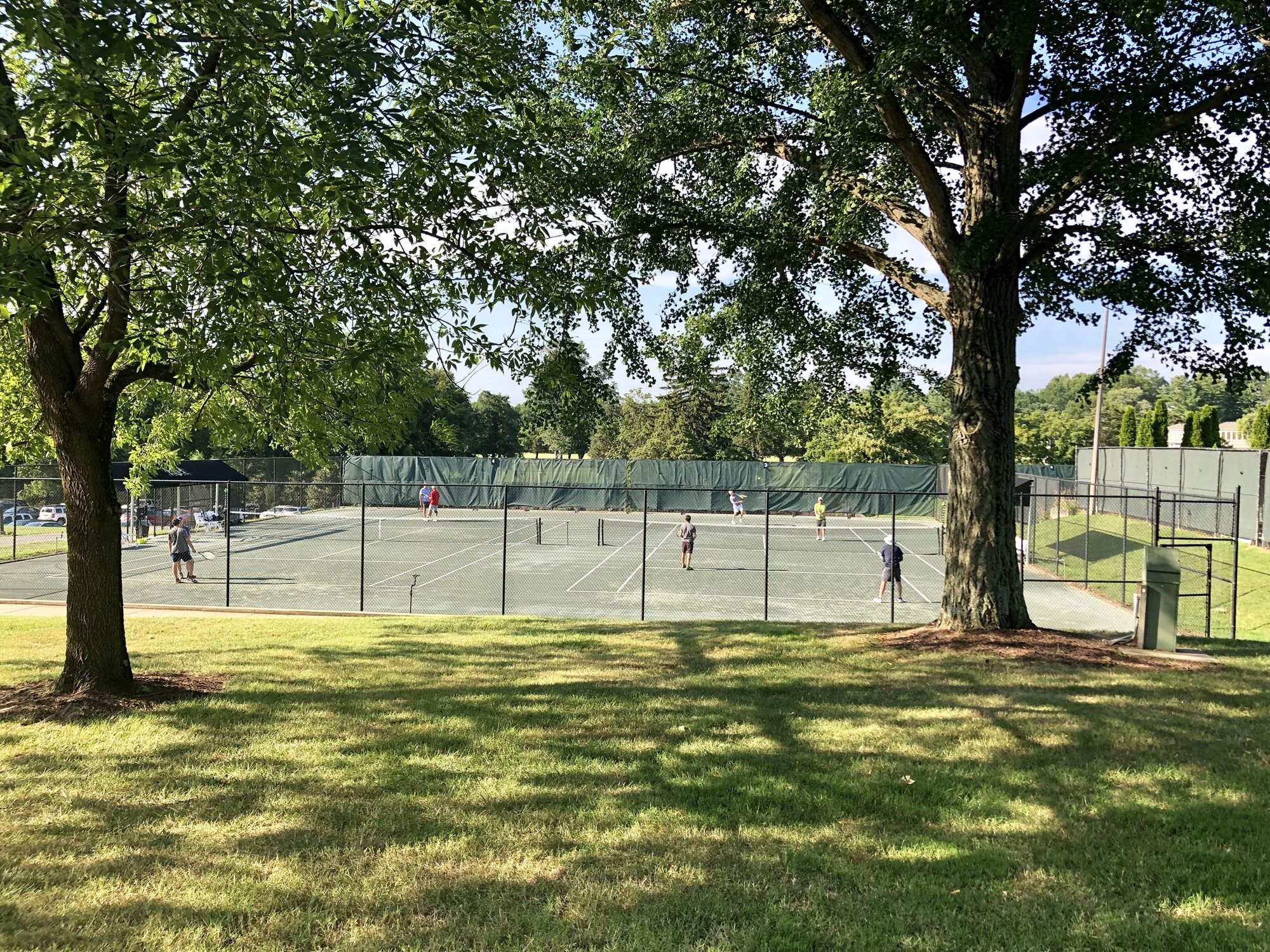 Tennis_behind_trees