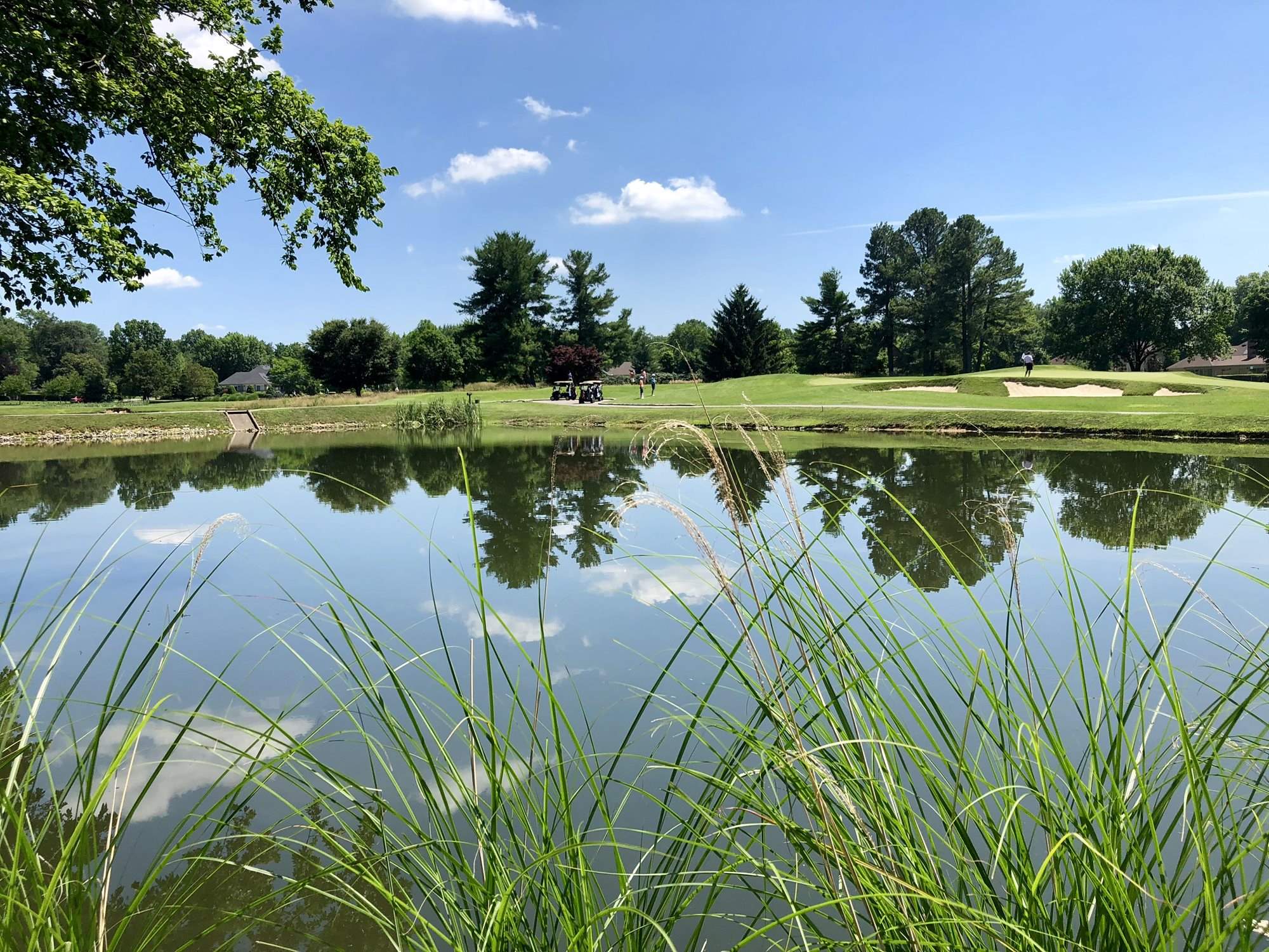 Pond_at_1_and_2